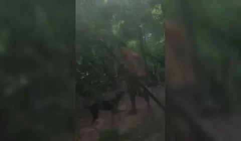 Suspeito de zoofilia com cachorro nega crime e diz que “estava bêbado”