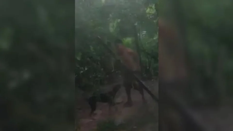 Suspeito de zoofilia com cachorro nega crime e diz que “estava bêbado”