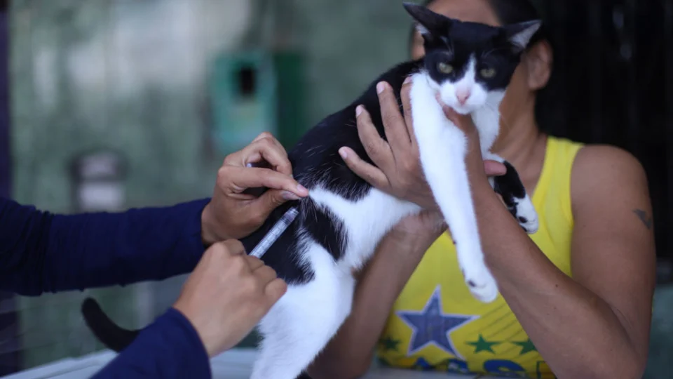 Etapa rural fluvial da Campanha de Vacinação Antirrábica segue até o dia 25