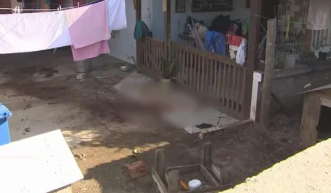 Homem é morto durante ataque de quatro pitbulls em Santa Catarina