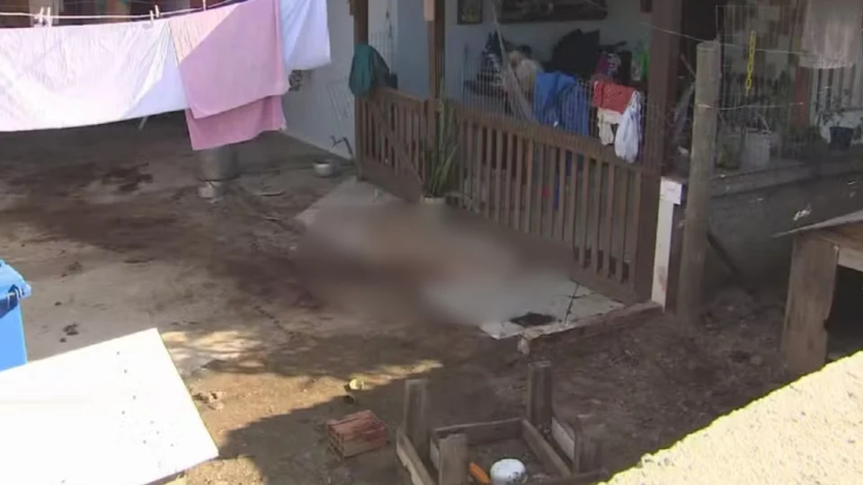 Homem é morto durante ataque de quatro pitbulls em Santa Catarina
