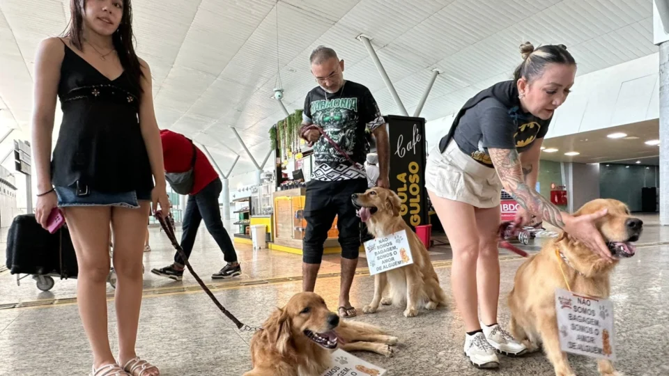 Justiça por Joca: tutores organizam manifestação no Aeroporto de Manaus; ‘Eles não são bagagens’, diz tutora