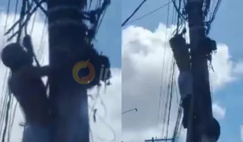 Vídeo: homem tenta roubar fiação em poste de energia na Av. Grande Circular