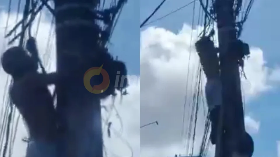 Vídeo: homem tenta roubar fiação em poste de energia na Av. Grande Circular