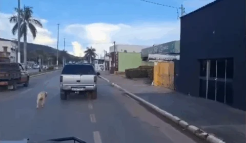 Idoso é preso após dirigir com cão amarrado na traseira de caminhonete