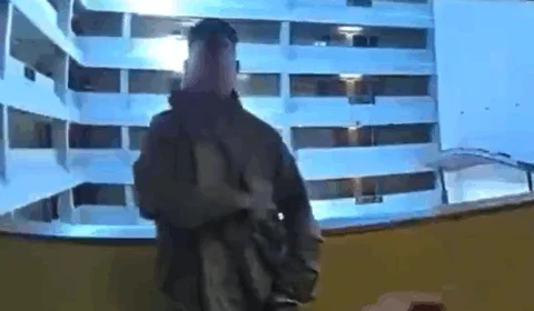 VEJA: Pedófilo é morto após sacar uma arma para policiais americanos