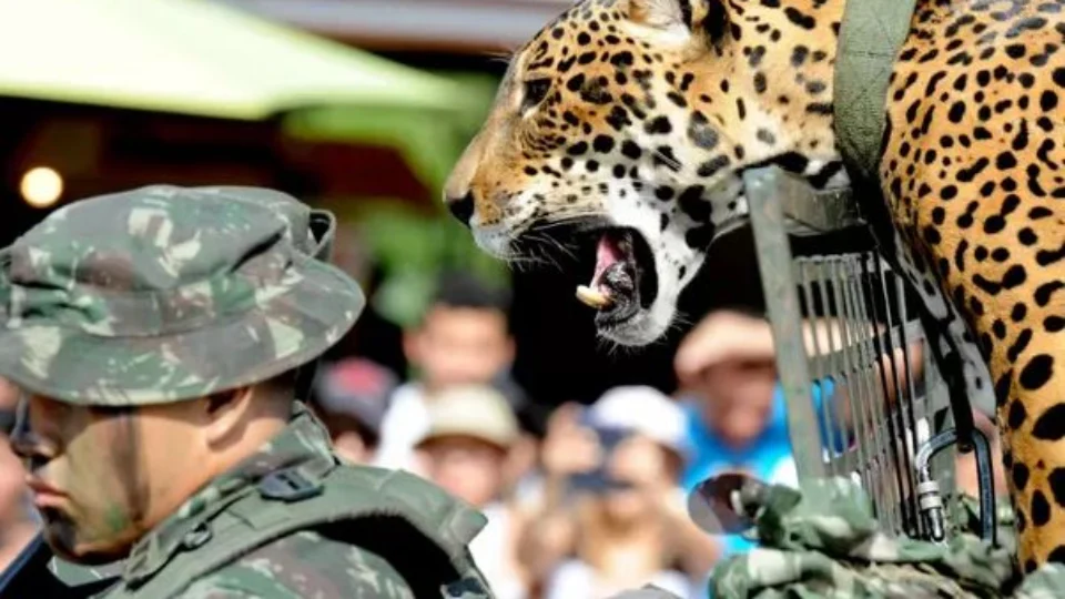 CMA celebra Dia do Exército com ação de cidadania na Ponta Negra