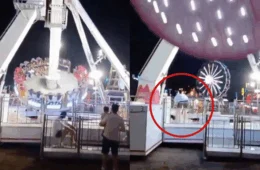 VEJA VÍDEO: homem é atingido por brinquedo ao tentar salvar cão em parque