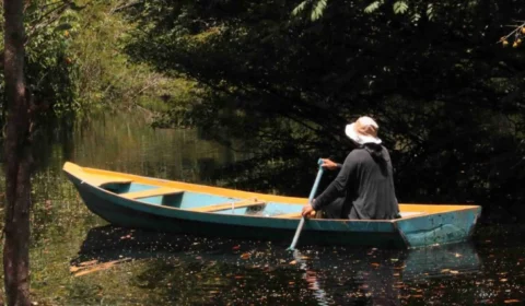 Edital Expedições Científicas da Iniciativa Amazônia+10 encerra inscrições em 29 de abril