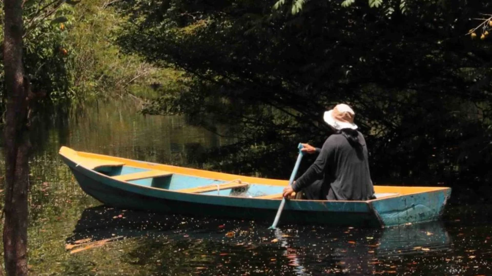 Edital Expedições Científicas da Iniciativa Amazônia+10 encerra inscrições em 29 de abril