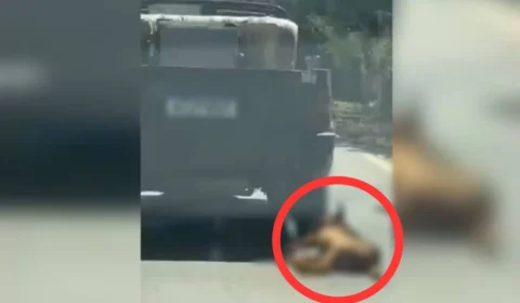 Veja Vídeo: cachorro é preso com corda e arrastado por carro