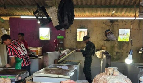 Cerca de 400 quilos de pescado e quatro quelônios são apreendidos pelo CPAmb