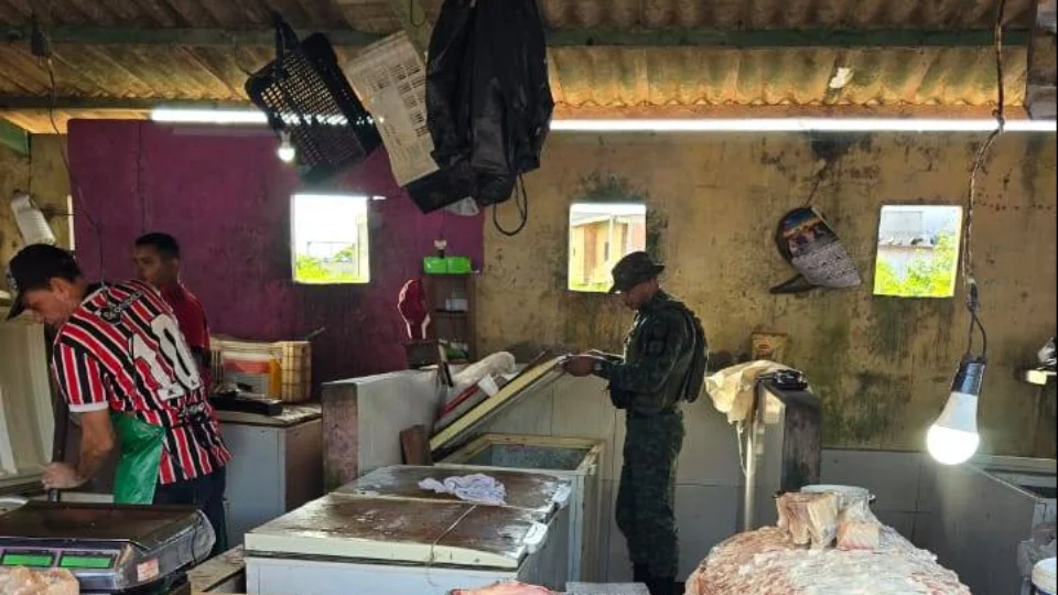 Cerca de 400 quilos de pescado e quatro quelônios são apreendidos pelo CPAmb