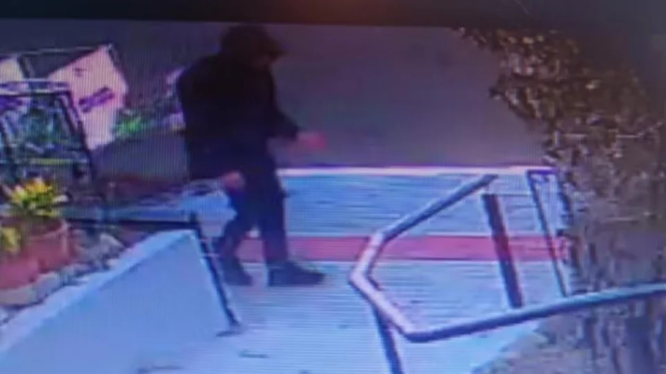 Suspeito de roubar e espancar idosa de 85 anos até a morte dentro de loja é preso