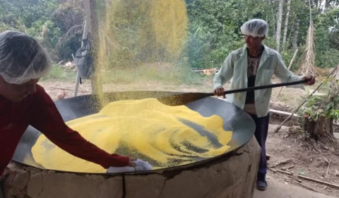 Farinha de Uarini é declarada Patrimônio Cultural do Amazonas