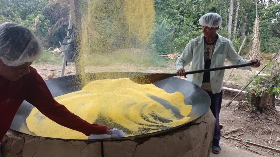 Farinha de Uarini é declarada Patrimônio Cultural do Amazonas