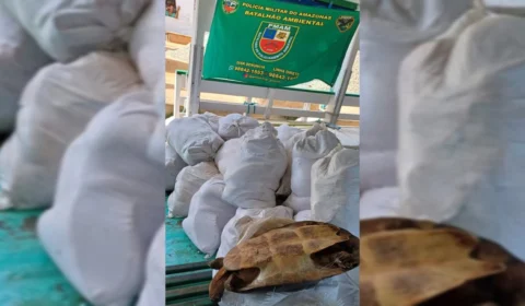 Polícia apreende cerca de duas toneladas de pescado ilegal no porto da Manaus Moderna