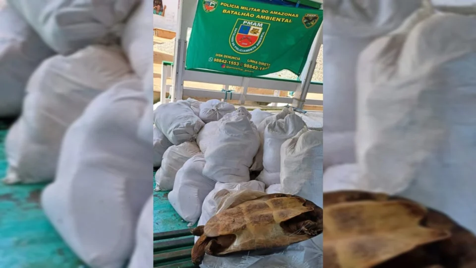 Polícia apreende cerca de duas toneladas de pescado ilegal no porto da Manaus Moderna