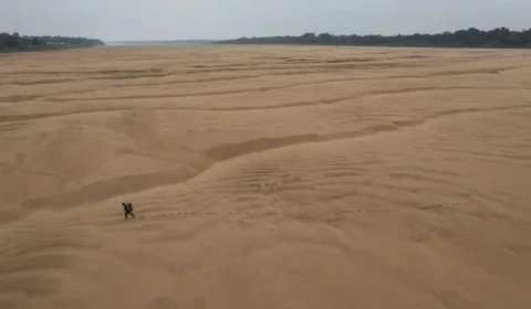 Brasileiro é premiado no World Press Photo 2024 com Impactante Retrato da Seca na Amazônia