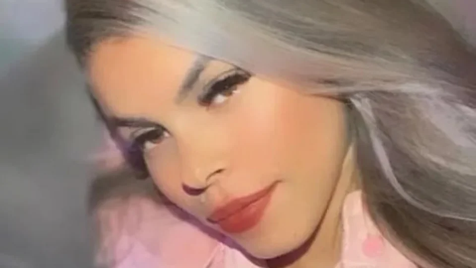 Médicos antecipam parto de bebê um dia antes da mãe dele morrer por dengue