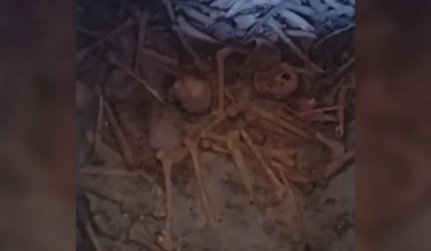 VÍDEO: Dezenas de ossadas humanas são achadas no porão de uma igreja católica em MG