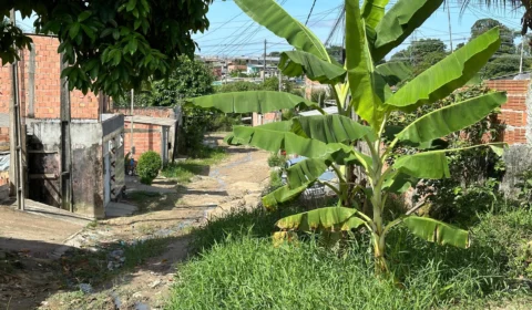 Na rua Carlos Lírio, no Lago Azul, moradores denunciam abandono do poder público