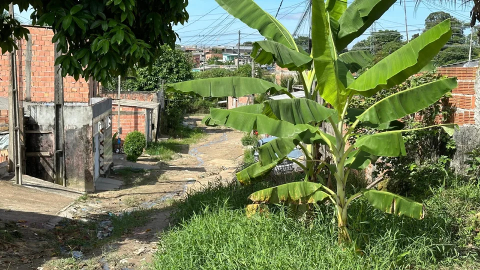 Na rua Carlos Lírio, no Lago Azul, moradores denunciam abandono do poder público