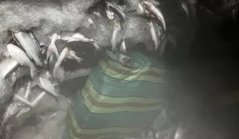 Segurança do Pará localiza 3,2 toneladas de drogas e realiza apreensão histórica