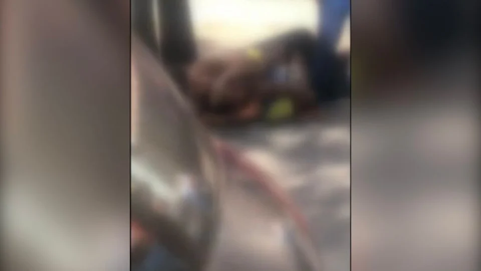 Cuidadora de idosos imobiliza homem com ‘mata-leão’ ao ver que ele agredia a mãe; Veja vídeo