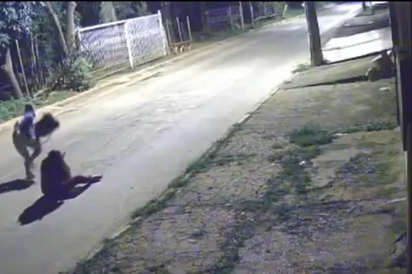 VEJA VÍDEO: Mulher é agredida e jogada no chão por bandido durante assalto