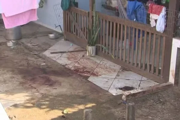 Homem morre após ser atacado por 4 pit-bulls no momento em que trabalhava na residência