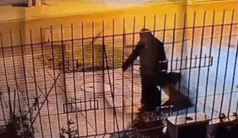 VEJA VÍDEO: vestida de freira, mulher abandona mala com corpo na rua