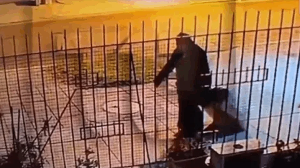 VEJA VÍDEO: vestida de freira, mulher abandona mala com corpo na rua