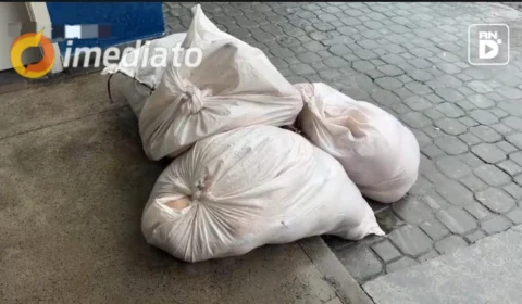 Polícia prende homem e apreende carne de caça e pescado ilegal após denúncia na feira da Panair