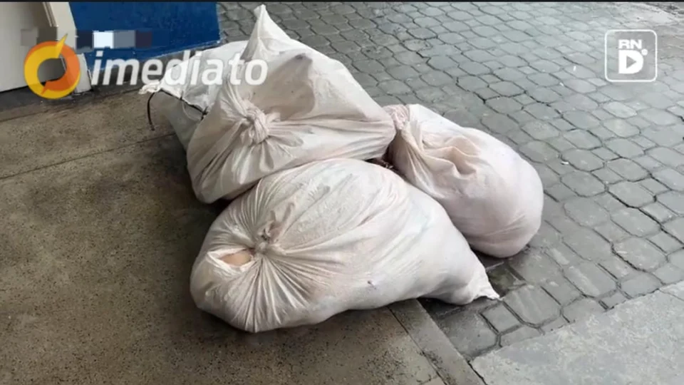 Polícia prende homem e apreende carne de caça e pescado ilegal após denúncia na feira da Panair