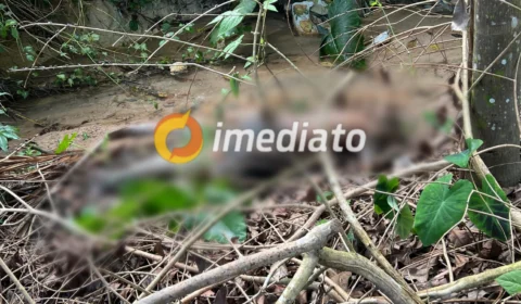 Corpo de homem é encontrado em estado de decomposição no bairro Jorge Teixeira