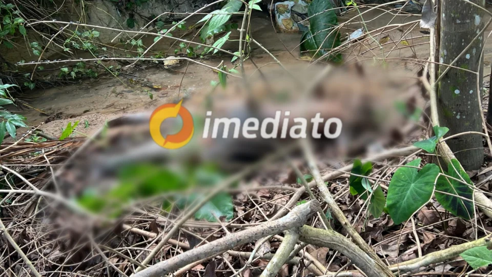 Corpo de homem é encontrado em estado de decomposição no bairro Jorge Teixeira