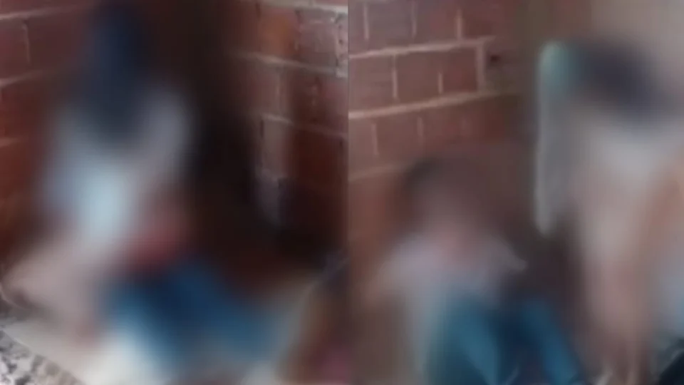 VEJA VÍDEO: de uniforme, alunos tem relação em construção de casa