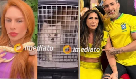 Caso Djidja: Animais resgatados seriam drogados e estrangulados durante rituais de seita, diz deputada