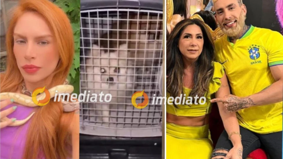 Caso Djidja: Animais resgatados seriam drogados e estrangulados durante rituais de seita, diz deputada