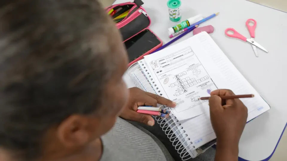 Taxa de alfabetização chega a 93% da população brasileira