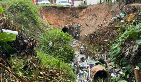 Rua Juriti Azul no Gilberto Mestrinho corre risco de desparecer