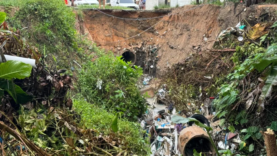 Rua Juriti Azul no Gilberto Mestrinho corre risco de desparecer