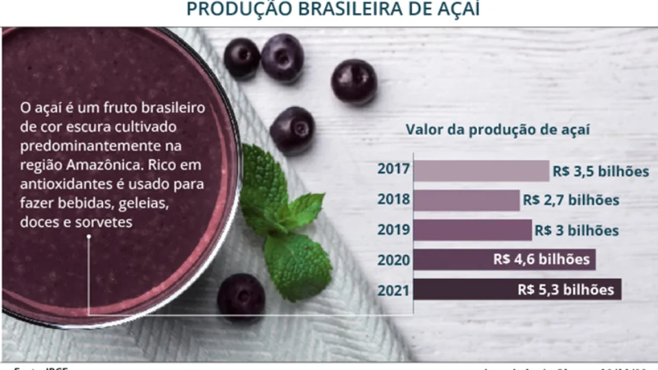 Projeto institui programa nacional para produção de açaí