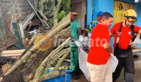 Homem morre após ser atingido por árvore em casebre na Redenção
