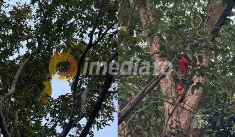 Vídeo: paraquedista cai em área de mata durante salto no bairro da Paz