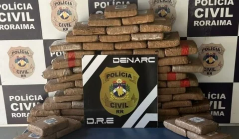 Polícia Civil de Roraima apreende 70 kg de drogas em Chácara