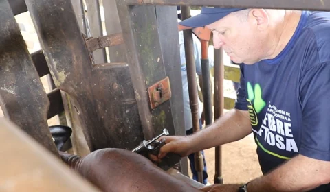 Ministério Público Federal entrou com uma ação  emergencial das licenças de instalação  pelo Ipaam (Instituto de Proteção Ambiental do Estado do Amazonas)