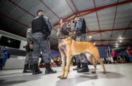 Cães de faro para narcóticos auxiliaram na apreensão de mais de meia tonelada de drogas em Manaus