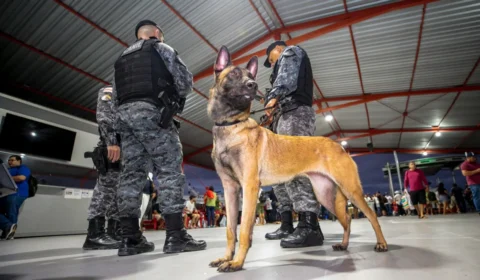 Cães de faro para narcóticos auxiliaram na apreensão de mais de meia tonelada de drogas em Manaus